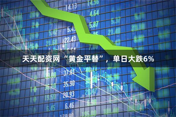 天天配资网 “黄金平替”，单日大跌6%