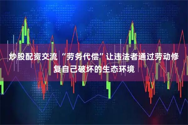 炒股配资交流 “劳务代偿”让违法者通过劳动修复自己破坏的生态环境