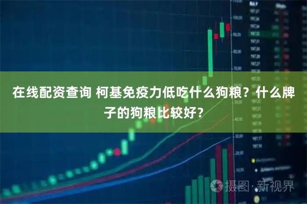在线配资查询 柯基免疫力低吃什么狗粮？什么牌子的狗粮比较好？