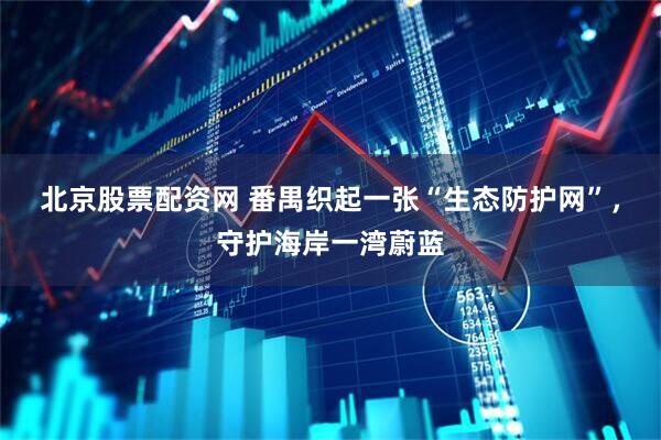 北京股票配资网 番禺织起一张“生态防护网”，守护海岸一湾蔚蓝
